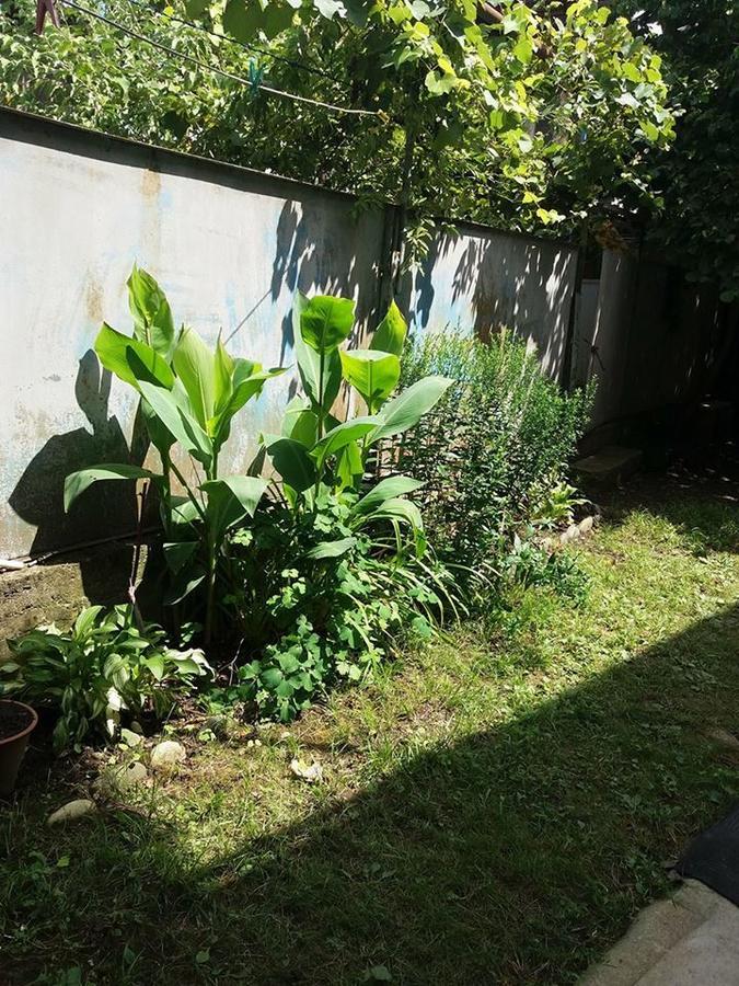 Beruka Guest House Kʼutʼaisi Exterior foto